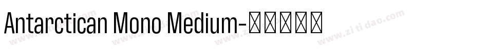 Antarctican Mono Medium字体转换